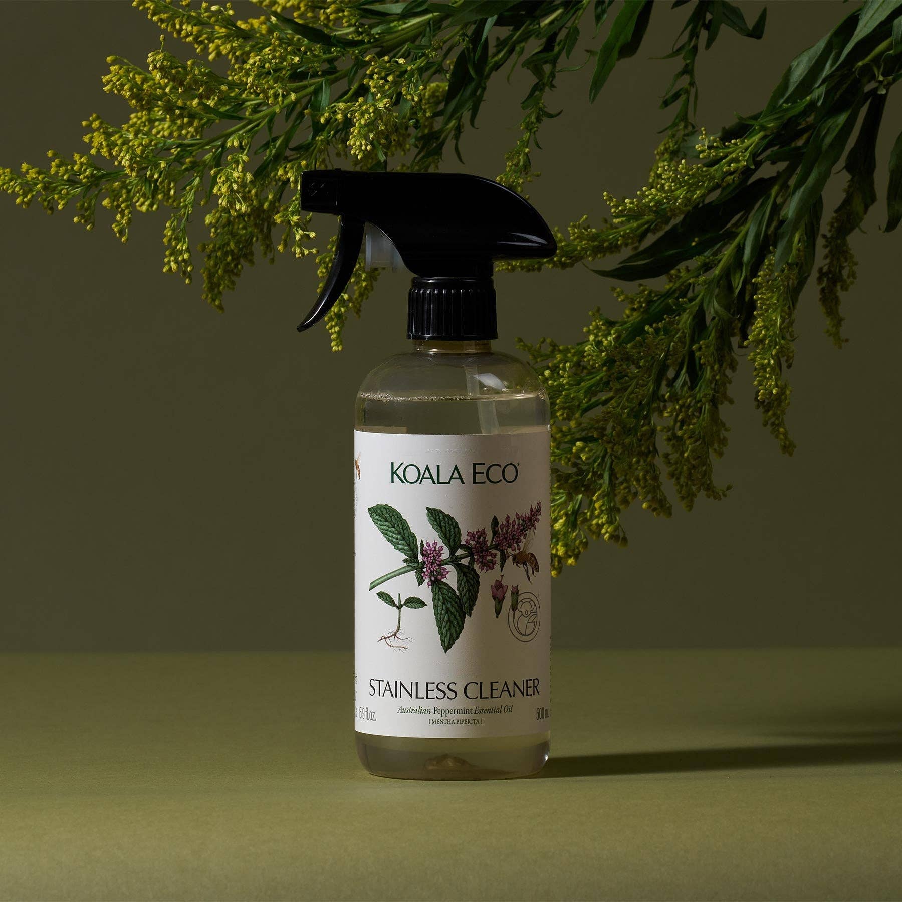 Koala Eco - Stainless Steel Cleaner - Peppermint