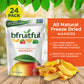 Freeze Dried Mangos