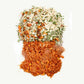 Happy Valley Soups - Tomato Basil Bisque