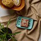 Dandelion Naturals - The Voyager Bar Soap For Men | Fathers Day Gift | Balsam Fir