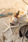 Cowboy & Co. - Face Oil - Butterfly Pea Flower | Organic Brightening Serum