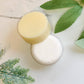 Dandelion Naturals - Shampoo Bar | Tea Tree Lavender | Packaged | Solid Shampoo
