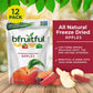Freeze Dried Red Apples