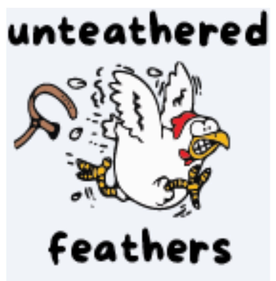 Untethered Feathers - Kibble Topper Supplement to Dog Kibble 2.5oz