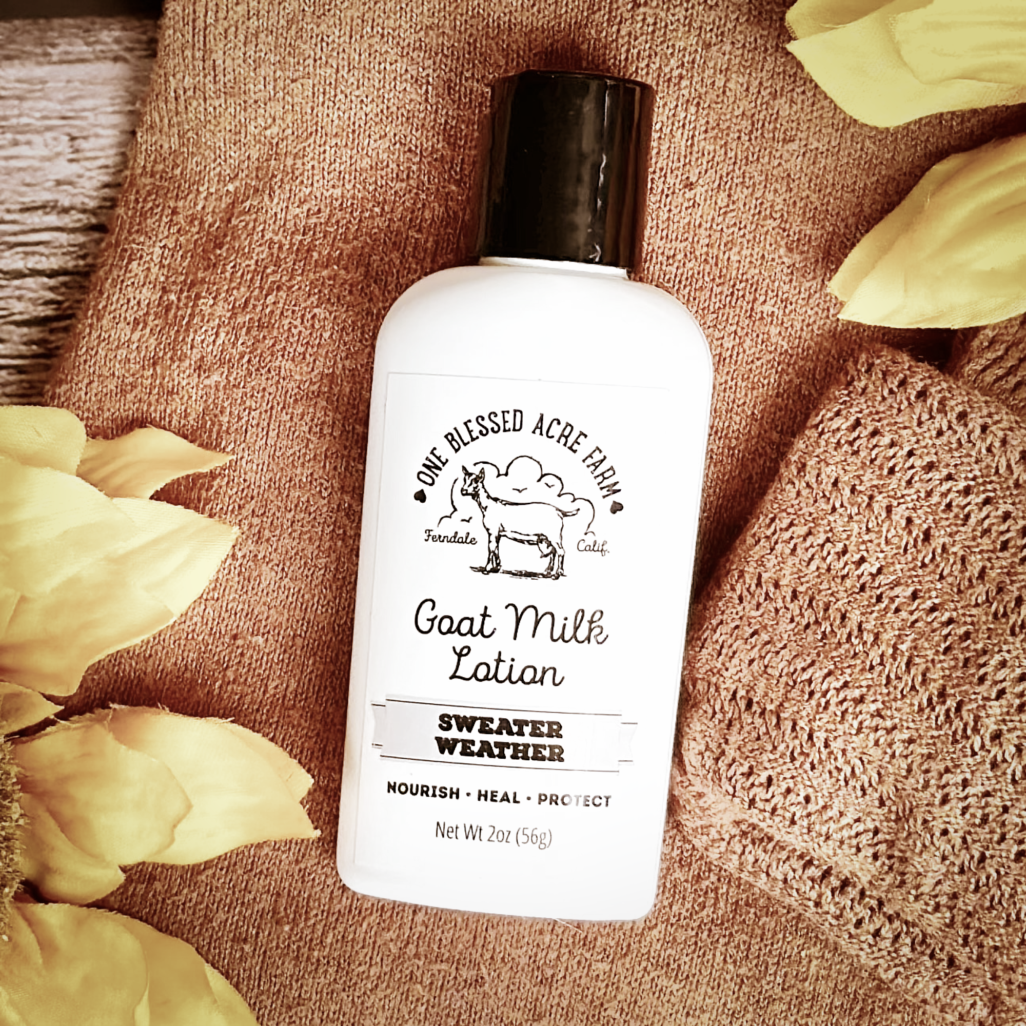 One Blessed Acre Farm - Sweater Weather Goat Milk Lotion - 2 & 8 ounce bottles