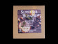 Superior Blends - Roasted Garlic Dip Mix