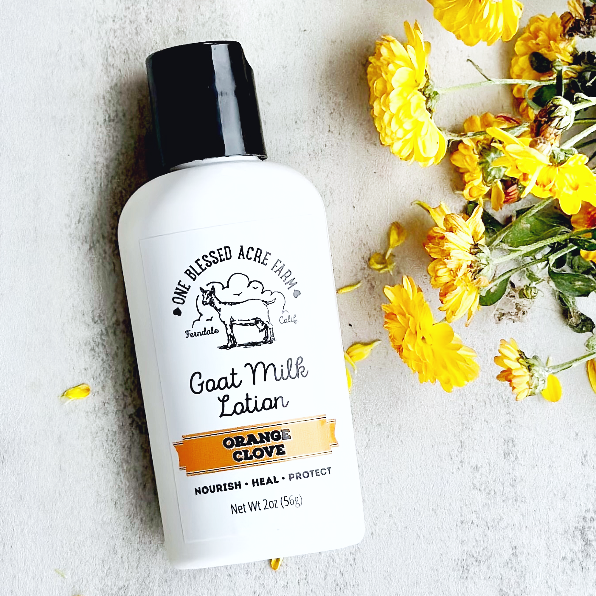 One Blessed Acre Farm - Orange Clove Goat Milk Hand and Body Lotion - 2 & 8 ounce